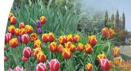 Welcome to the NJHA Conference and Event Center where our flexible meeting space, scenic grounds and tantalizing menu choices make us the ideal location for any occasion.